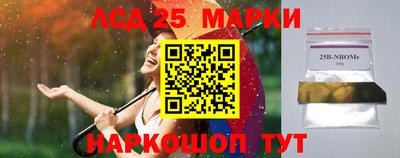 a pvp Славгород