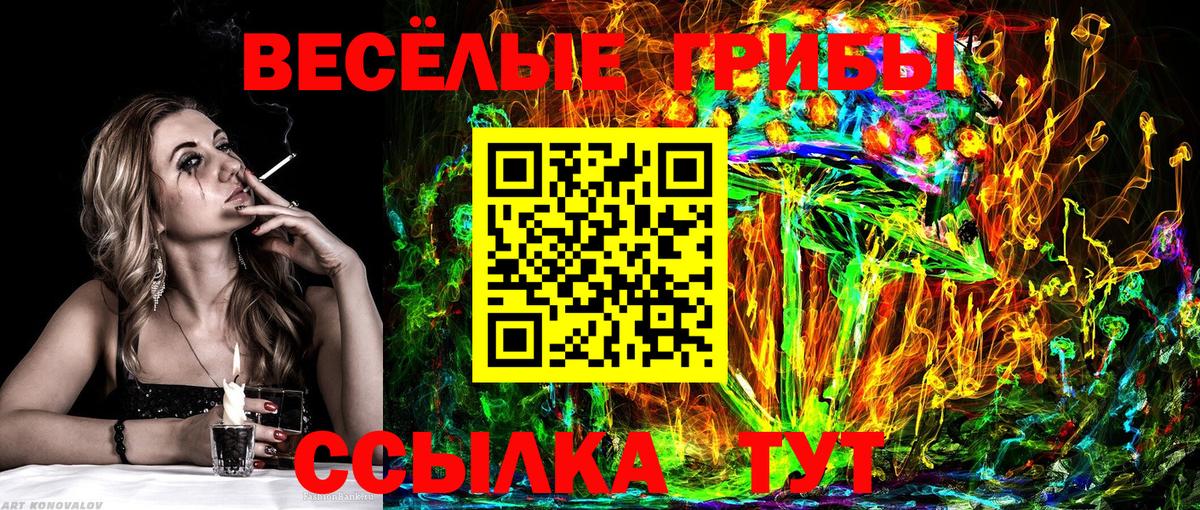Пушкино  Псилоцибиновые грибы прущие грибы  Вход с VPN 